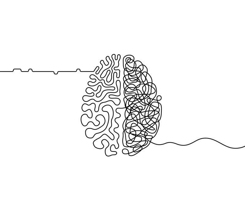 brain mapping