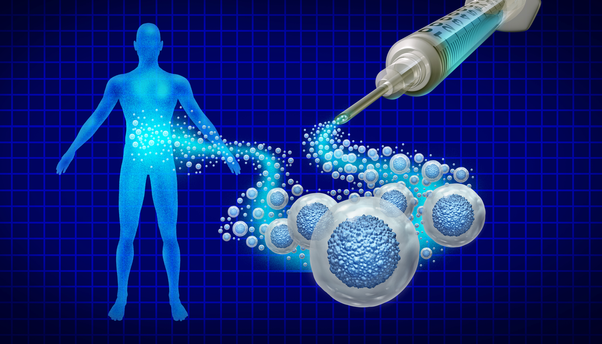 stem cell